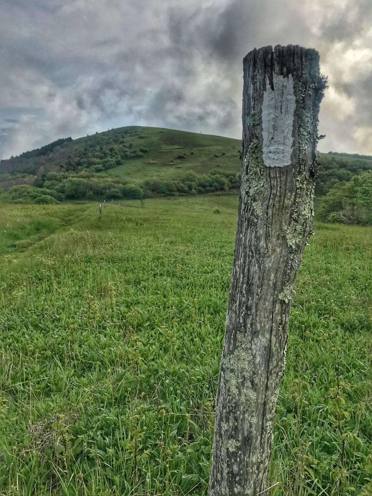 A serene landscape featuring rolling green hills, a weathered wooden post, and a sweeping cloudy sky. The setting evokes opportunities for nature walks, exploration, and outdoor play, essential for families seeking outdoor fun at or near the ski resort.