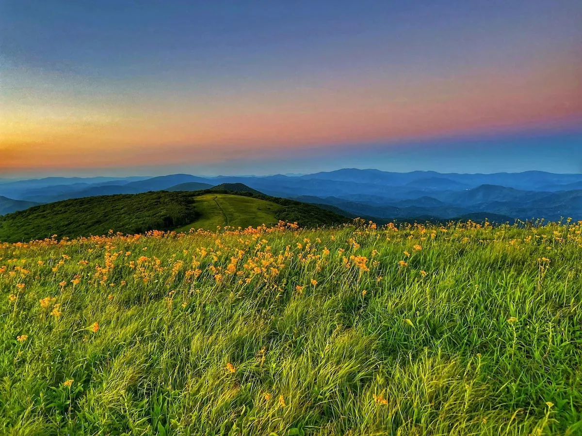 A sweeping view of vibrant yellow wildflowers in the foreground, rolling green hills, and distant blue mountains under a colorful sunset sky. The scene invites viewers to imagine hiking, picnicking, and stargazing amidst breathtaking vistas.