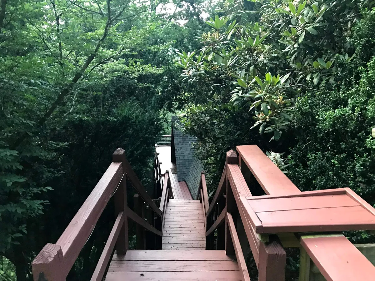 A wooden walkway leads down through lush greenery, inviting guests to step into the serene natural surroundings for a peaceful walk or to observe local wildlife. The steps and verdant backdrop convey an immersive experience in the woods.
