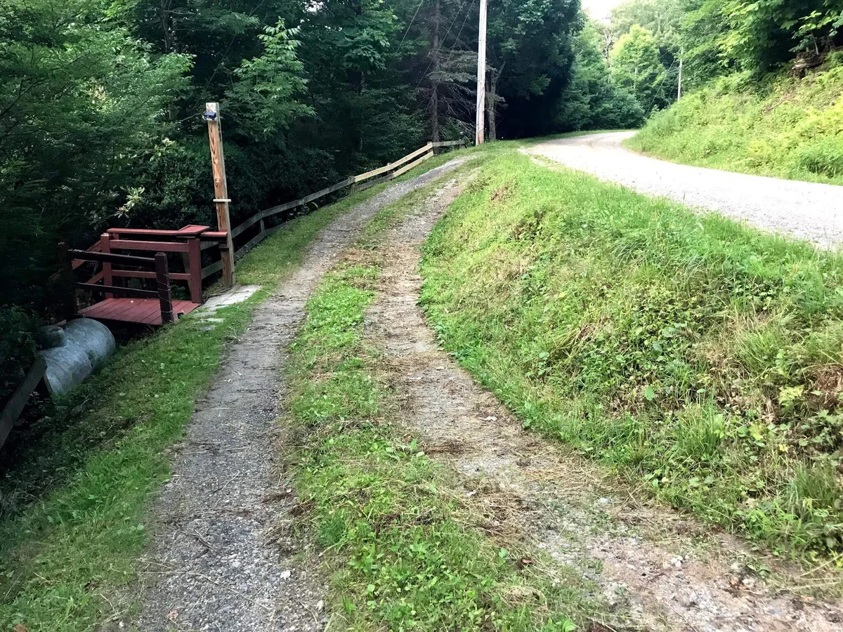 An inviting gravel path meanders through lush greenery, leading to a rustic wooden bench tucked within the tranquil forest setting. Dappled sunlight filters through the trees, creating a peaceful, secluded environment ideal for quiet conversations or shared moments in nature.